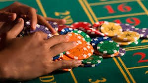 7799 bet
